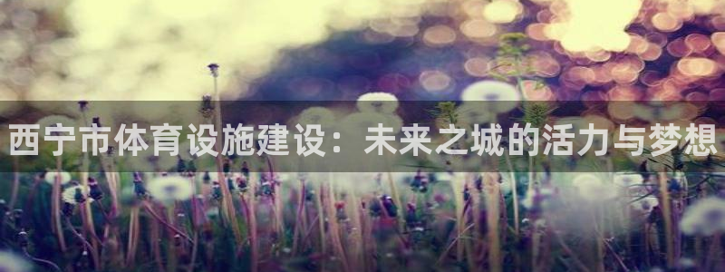 意昂3娱乐平台：西宁市体育设施建设：未来之城的活力与梦想