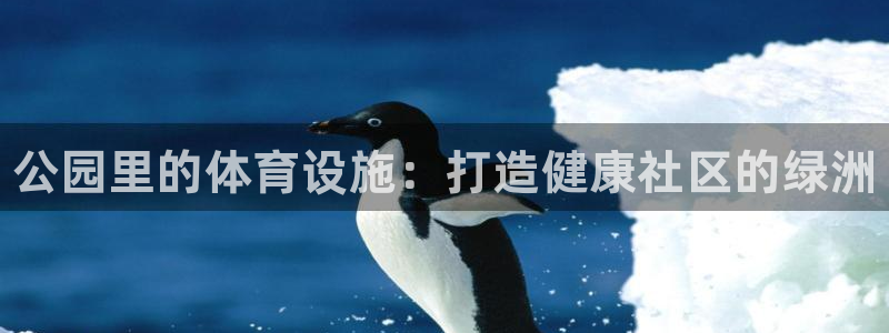 意昂3娱乐代理怎么样：公园里的体育设施：打造健康社区