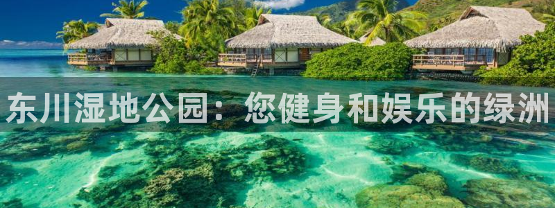 意昂体育3注册：东川湿地公园：您健身和娱乐的绿洲