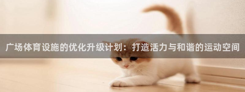 意昂体育3平台：广场体育设施的优化升级计划：打造活力与和谐的