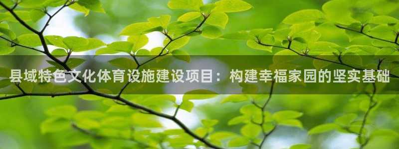 意昂体育3联系电话：县域特色文化体育设施建设项目：构建幸福家
