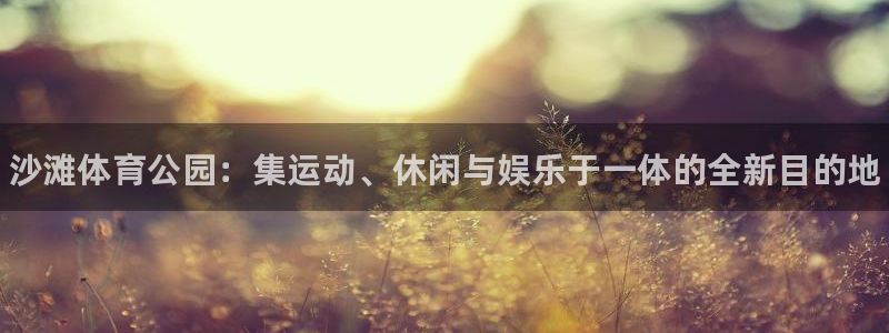 意昂3集团：沙滩体育公园：集运动、休闲与娱乐于一体的全新目的
